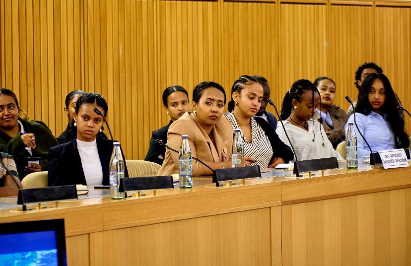 Panel discussion on youth entrepreneurship in Ethiopia led by Safe Light