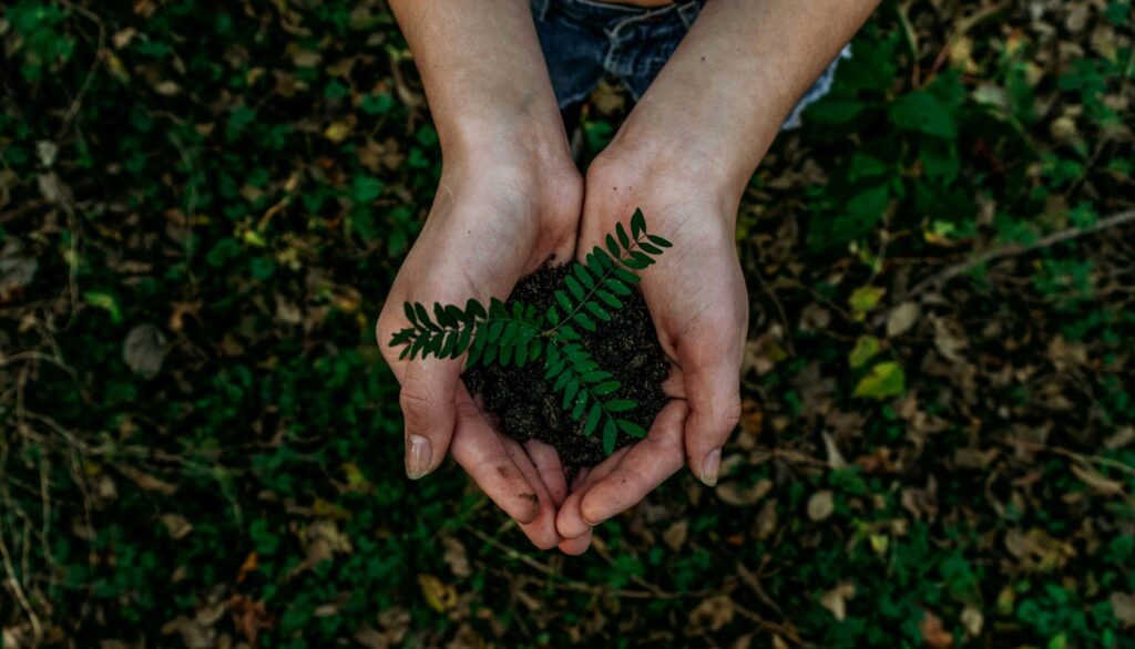 Sustainable Developmental Goal 13